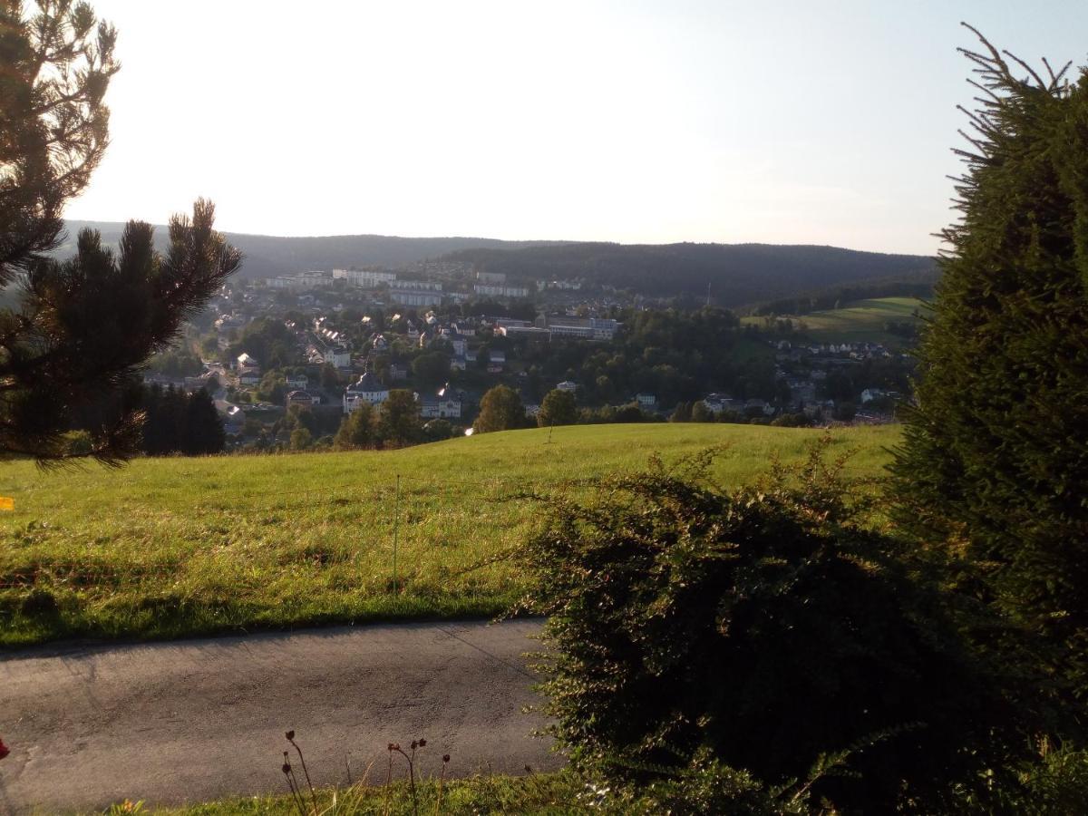 Ferienwohnung Koernerberg Klingenthal Extérieur photo